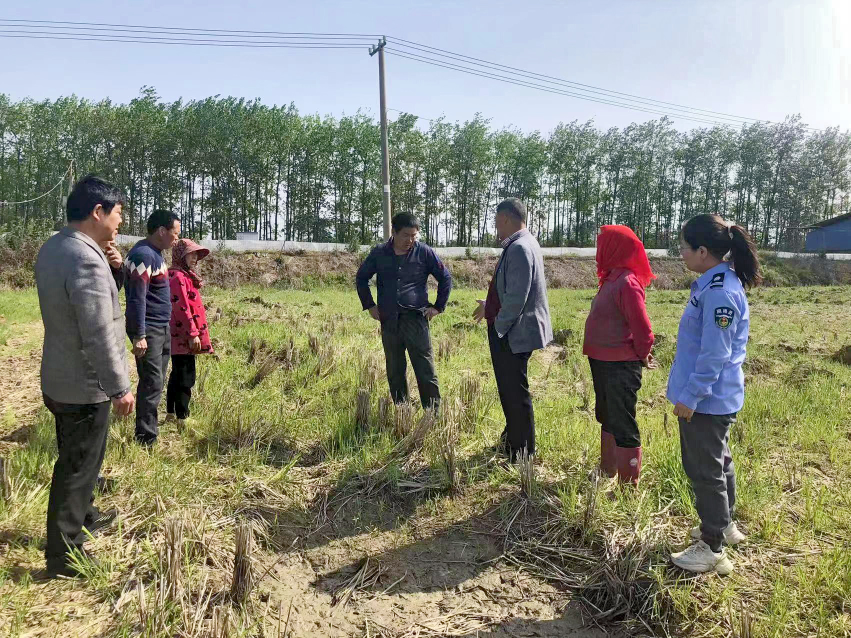22023年5月5日金南镇宋墩村开展“麦田积水急坏村民 热情相助排忧解难”协商议事，委员到田地实际调研解决矛盾.jpg
