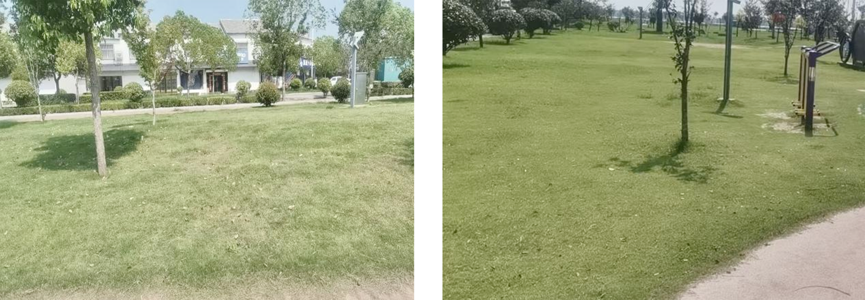 未标题-2.png