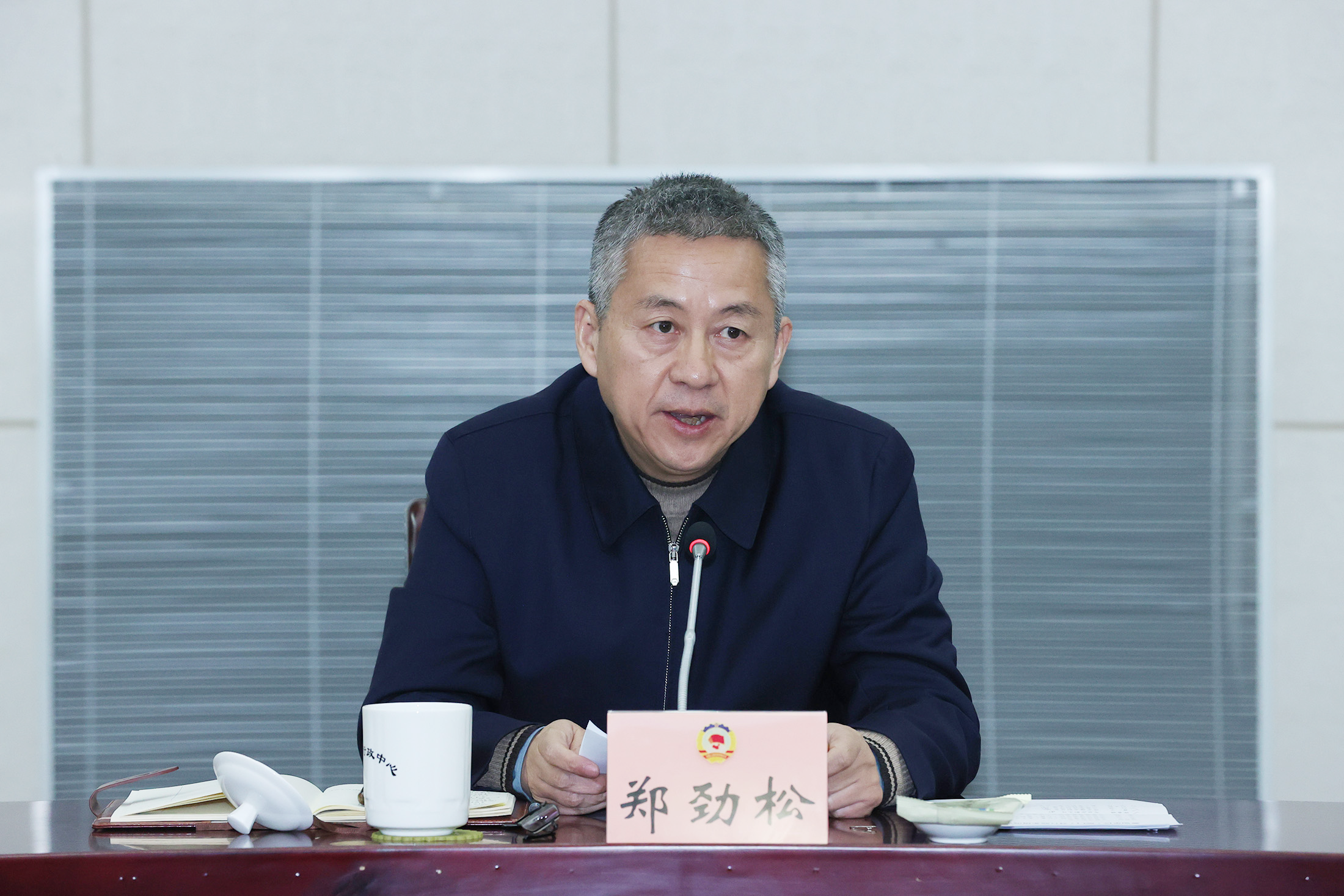 郑主席特写(小于10M)2.png 郑主席特写(小于10M)2.png