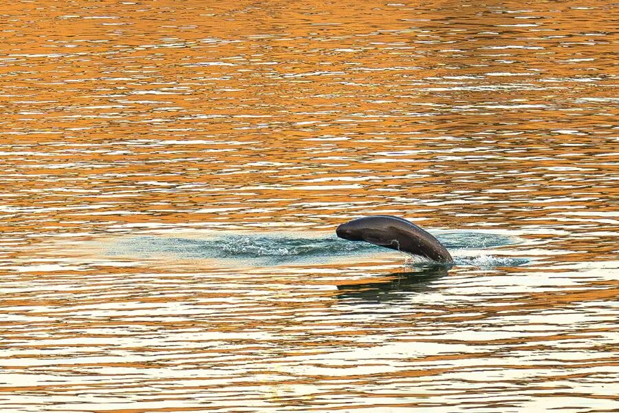 微信图片_2026-02-26_150500_381.jpg 微信图片_2026-02-26_150500_381.jpg