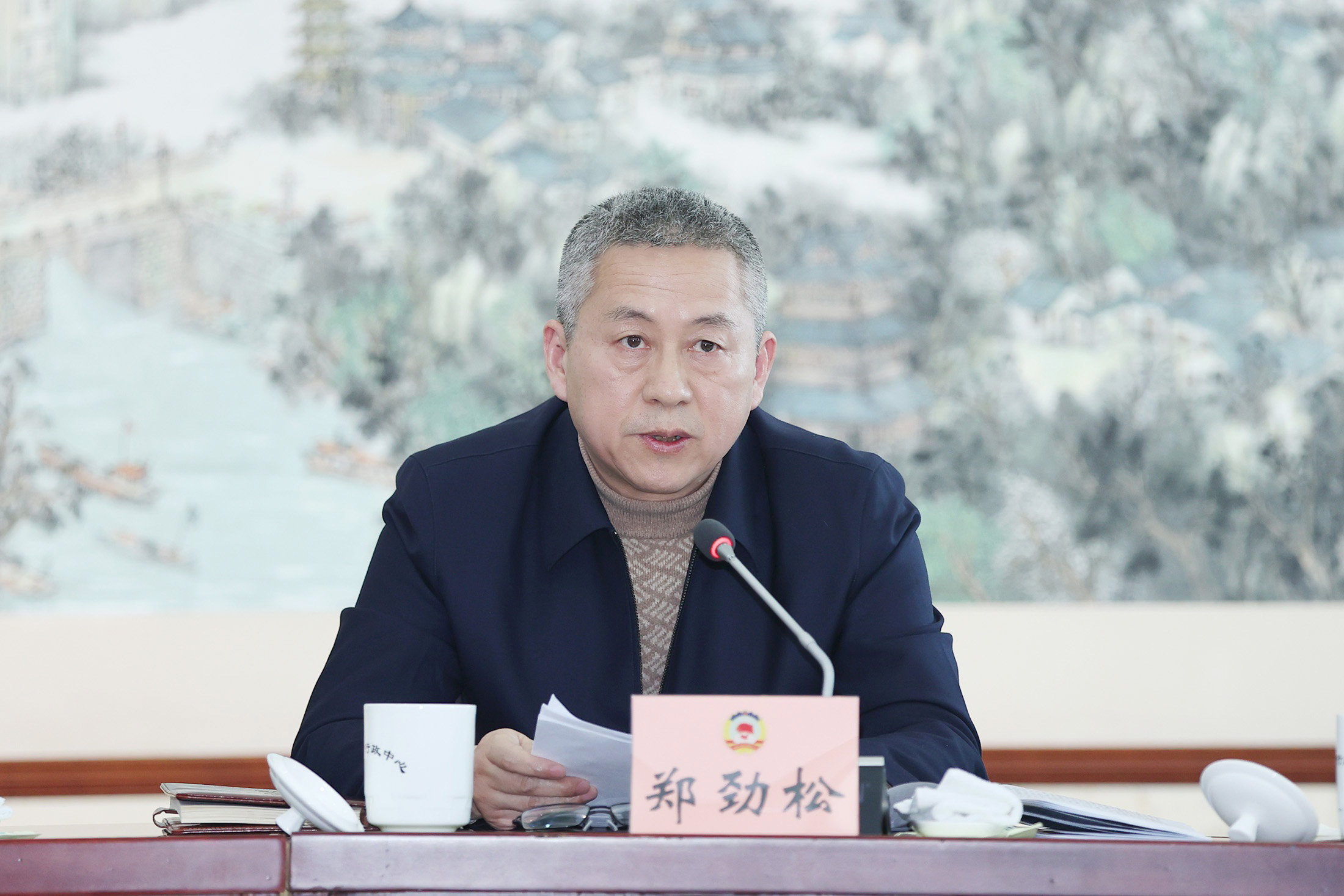 郑主席特写(改后)(小于10M).jpg 郑主席特写(改后)(小于10M).jpg