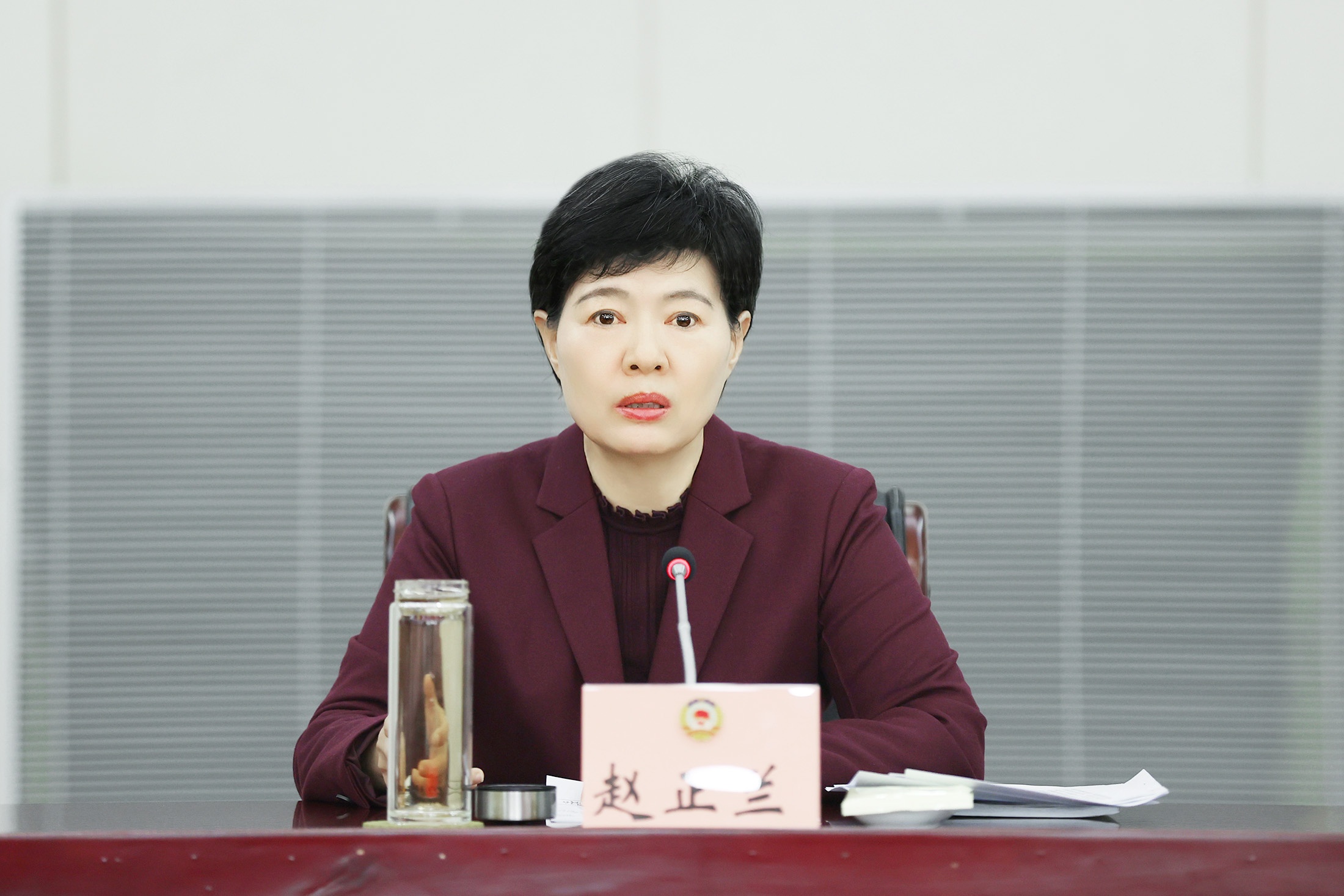 赵主席特写_副本5(小于10M)_副本.jpg