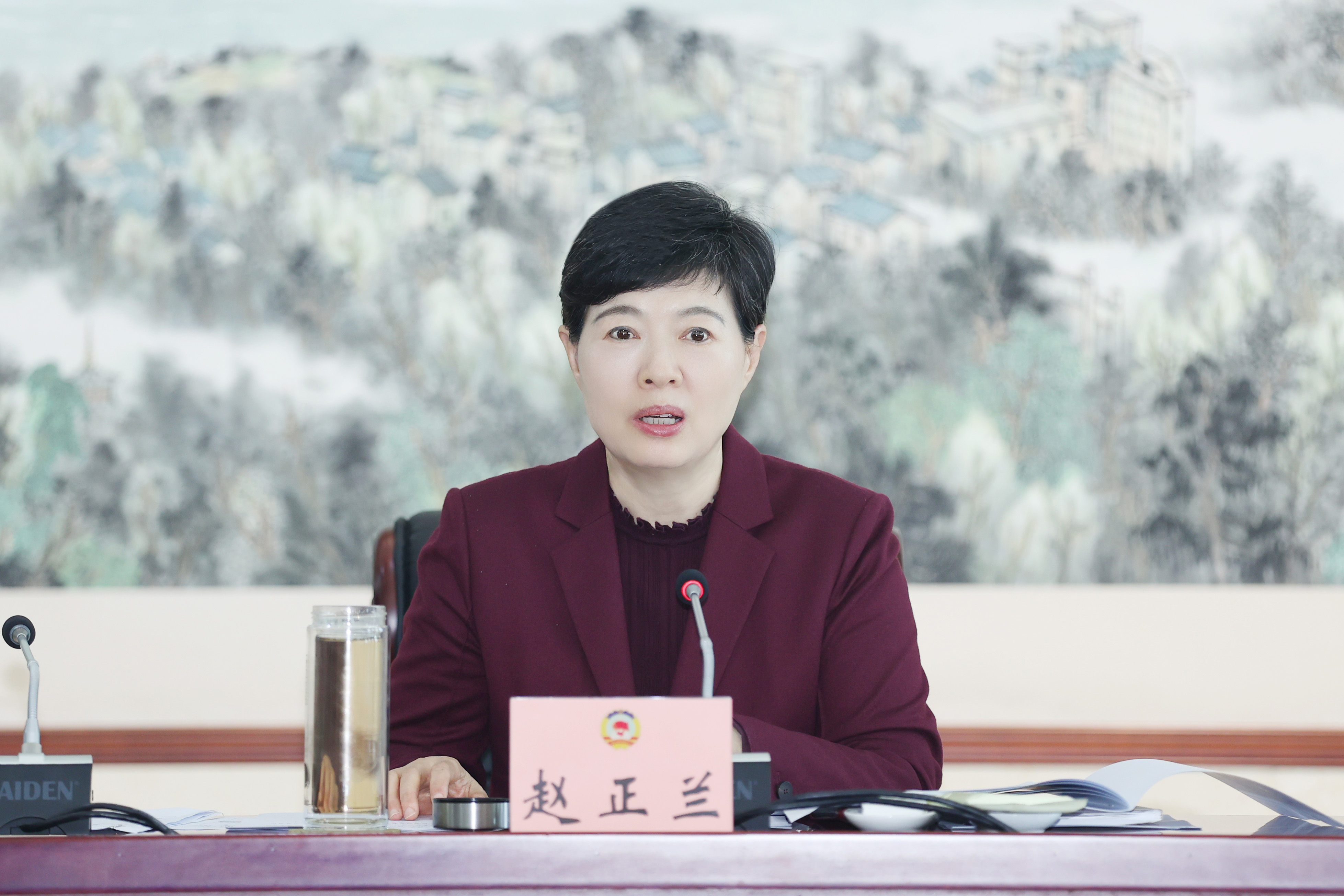 赵主席特写_副本2(改1).jpg 赵主席特写_副本2(改1).jpg